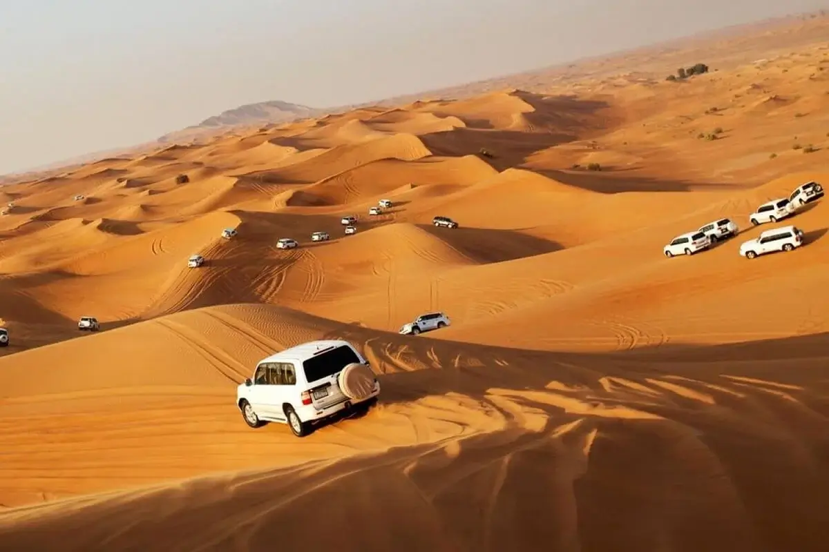 Desert Safari with Dune Bashing