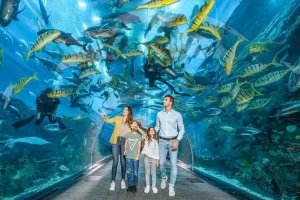 Dubai Aquarium & Underwater Zoo