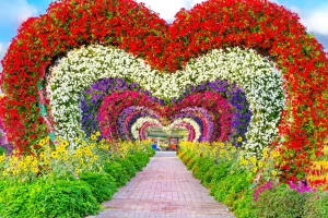 Miracle Garden