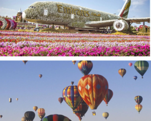 Hot Air Balloon + Miracle Garden