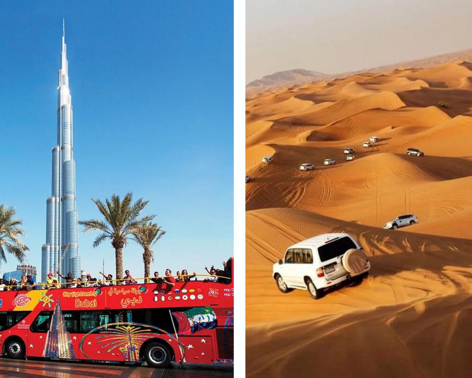 Big Bus Tour + Desert Safari