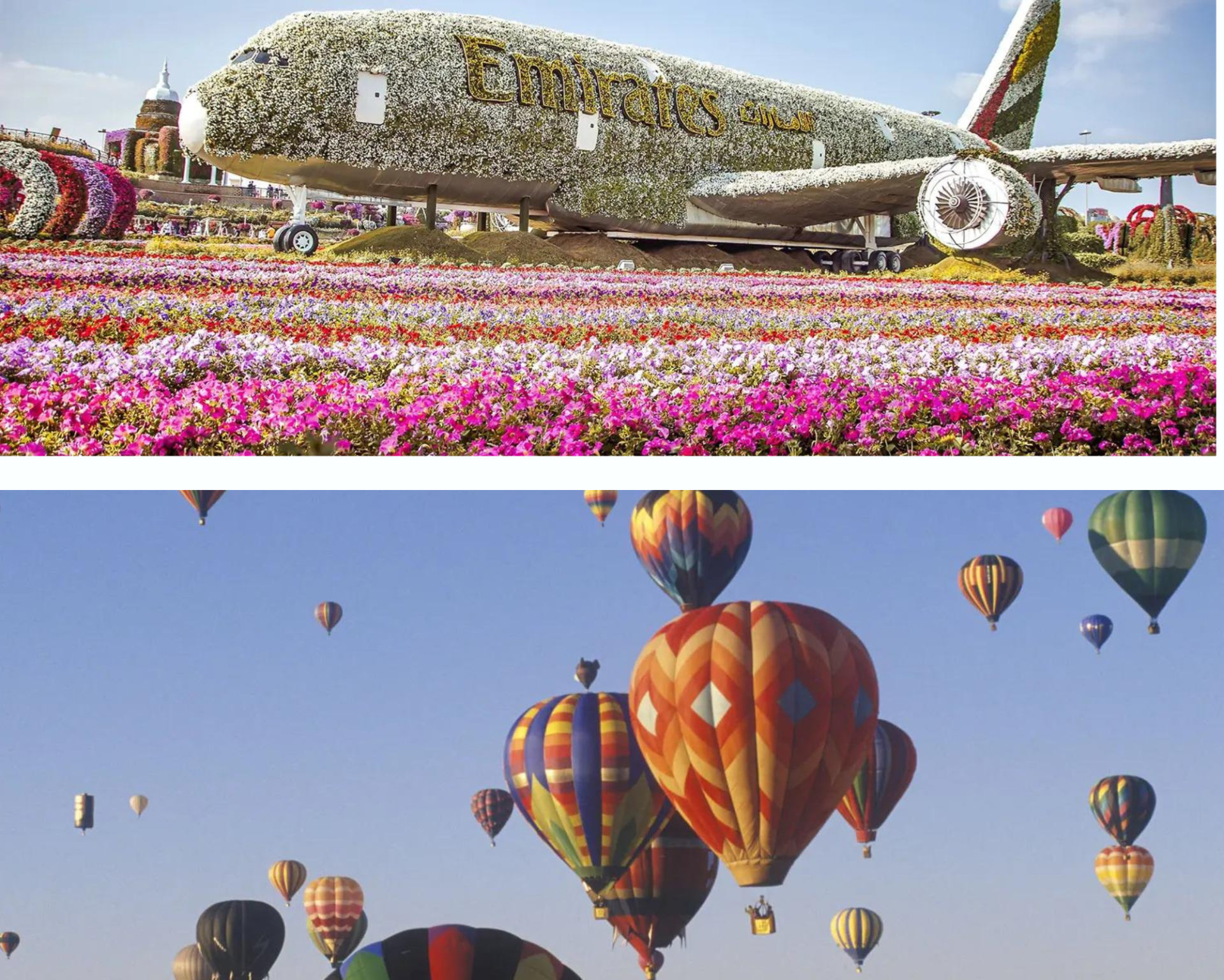 Hot Air Balloon + Miracle Garden