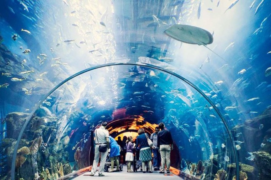 Dubai Aquarium & Underwater Zoo